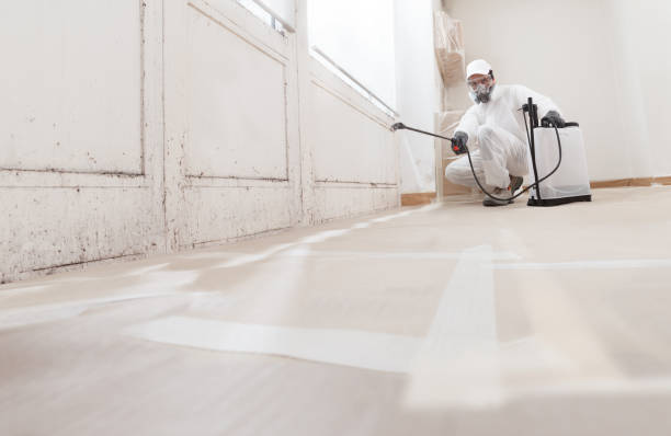 24/7 Emergency Crawl Space Mold Removal experts in Augusta, GA