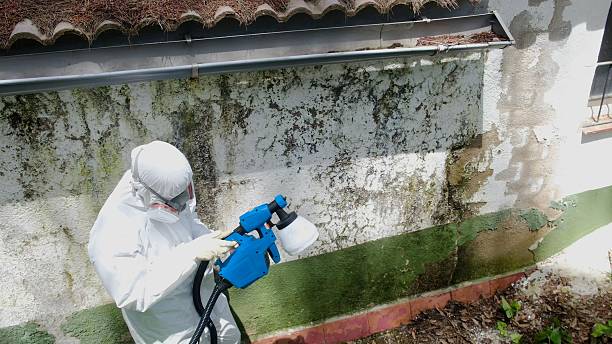 Trusted Bathroom Mold Removal service in Augusta, GA - Cheap Mold Removal